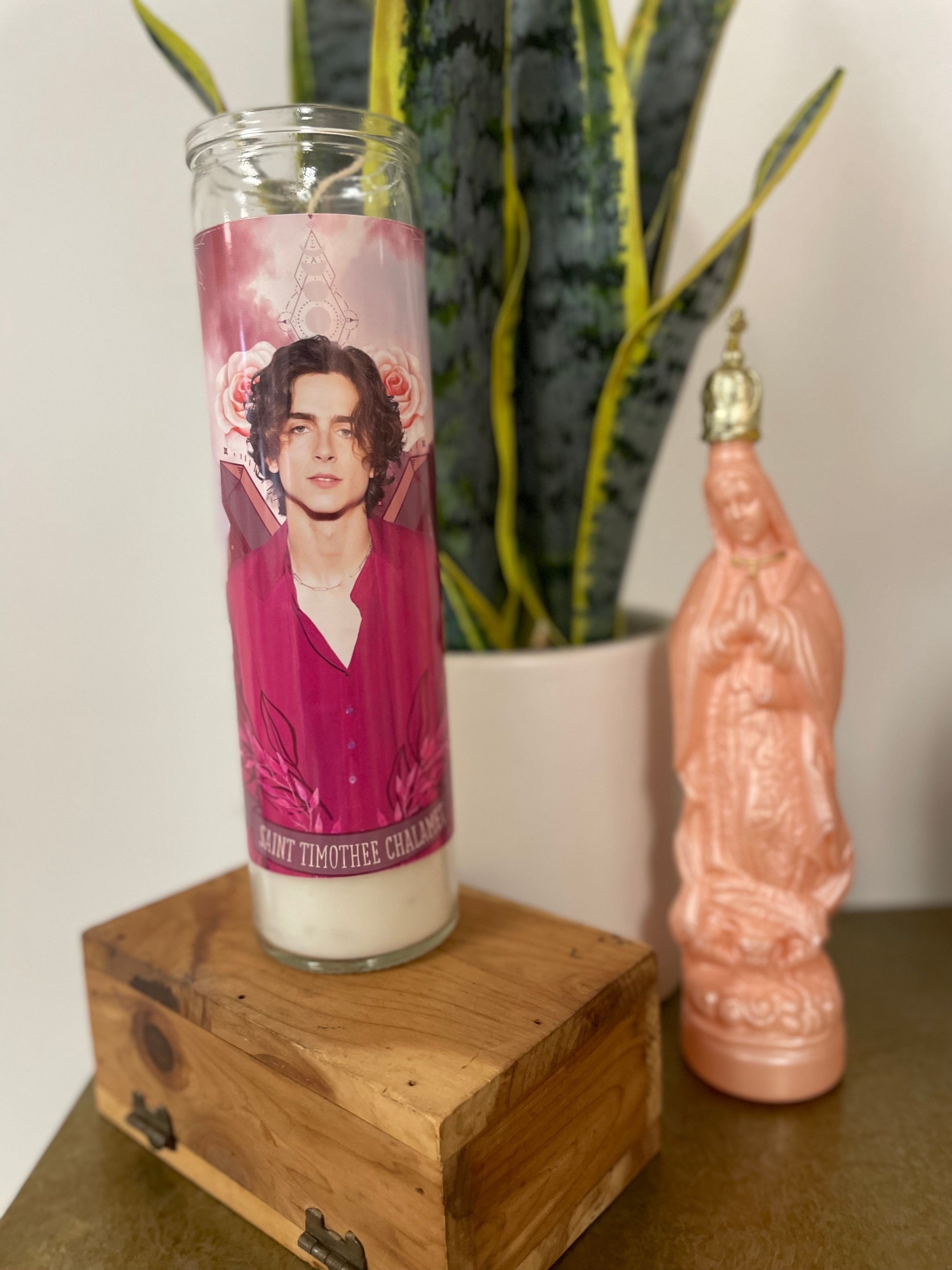 The Luminary Timothée Chalamet Altar Candle - Mose Mary and Me