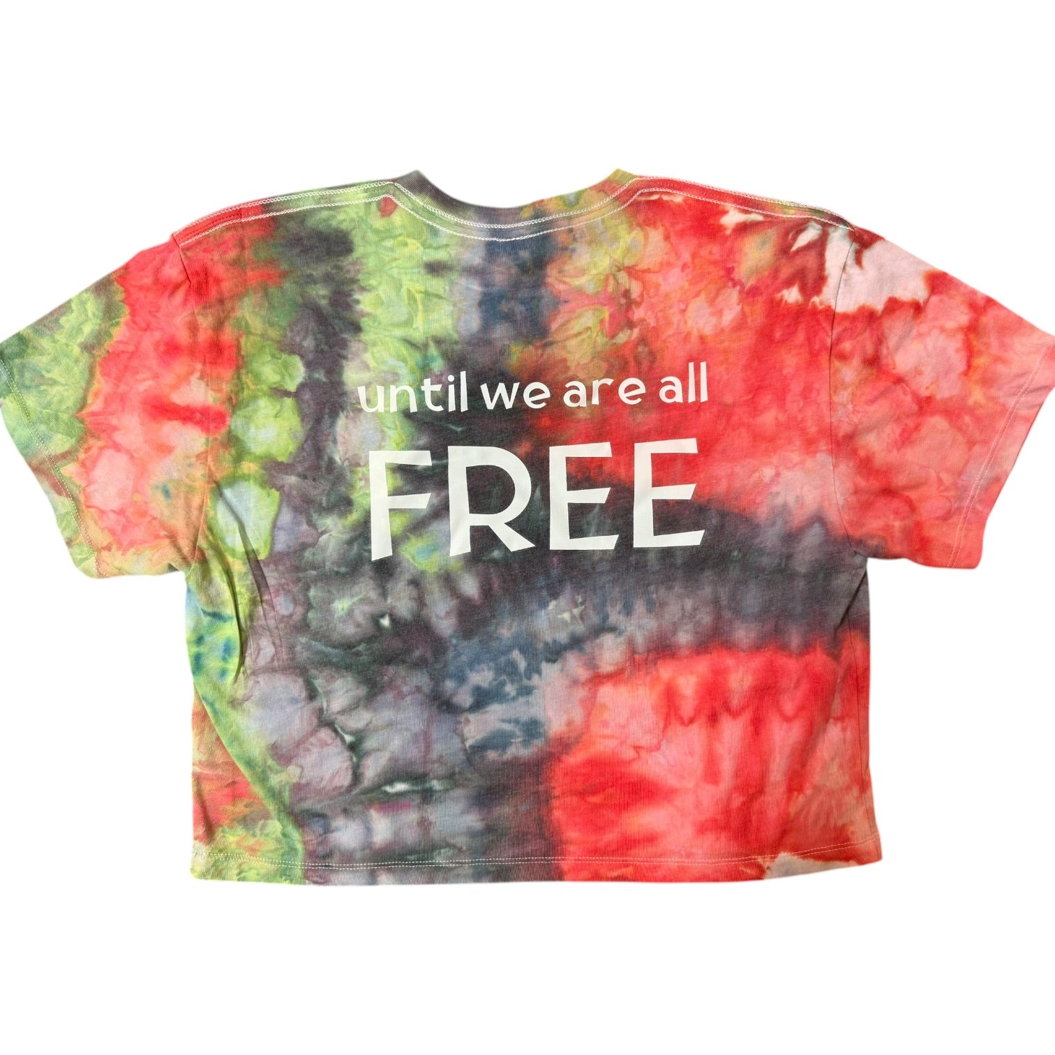 No One Is Free Hand-Dyed Crop Top